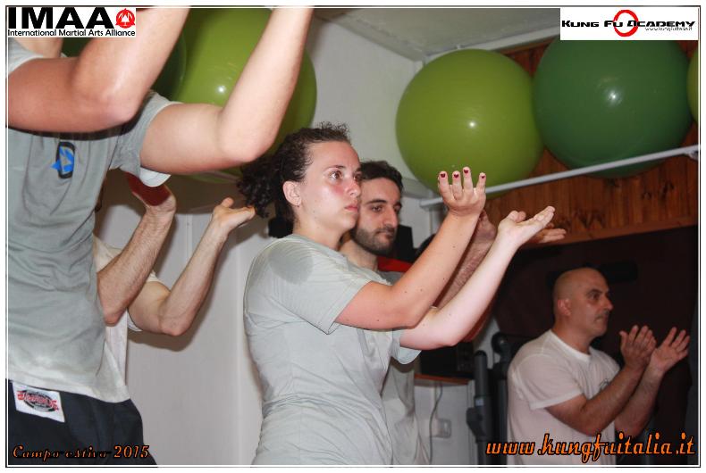 www.kungfuitalia.it kung fu academy di Sifu Salvatore Mezzone scuola di wing chun tjun tsun caserta italia imaa arti marziali e difesa personale tai chi (41)